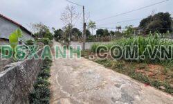 Bán đất Xã Đại Đình, Huyện Tam Đảo 181m², giá 4xx triệu