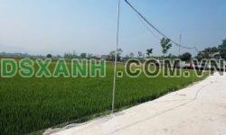 Bán đất Xóm 8, Xã Trù Sơn, 211.3m², 2 tỷ Huyện Đô Lương.
