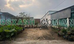 Bán Đất TP. Thủ Dầu Một, Phường Hiệp An. DT 4x30m. Giá 1.39 Tỷ