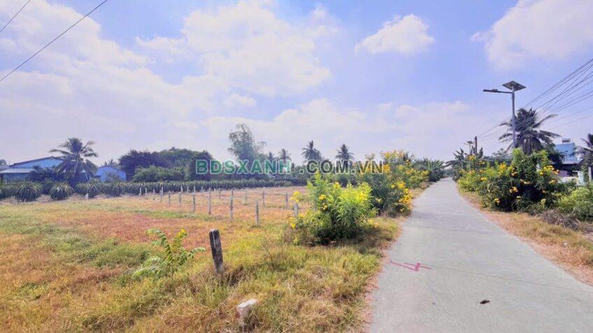 Bán đất Ấp 5, Xã Hoà Phú, Châu Thành, Long An – DT 160m2 giá 330 triệu TL