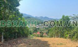 Bán 354m² (200m TC) Xã Yên Xuân, Huyện Lương Sơn giá 2.x tỷ