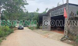 Bán đất Khu 5 Phú Nham, Xã Phù Ninh 230m2, 5tr/m2