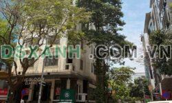 Bán Tòa VP 9 tầng P.Dịch Vọng Hậu Quận Cầu Giấy 11.5m MT 93 tỷ
