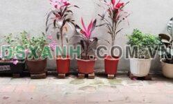 Bán nhà 43m² Quận Ngô Quyền, Phường Lạch Tray giá 2 tỷ 850 tr