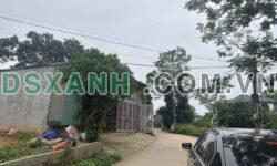 Bán Nhà Đất Khu 5 Phú Nham, Xã Phù Ninh, Huyện Phù Ninh, 230m², 1Tỷ1xx