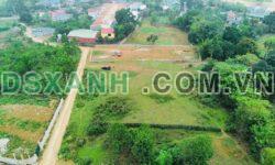 Bán 1800m2 (800m2 TC) Xã Đông Xuân, H. Quốc Oai, HN – Giá tốt