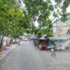 Đường Hoàng Tăng Bí – hình ảnh 1