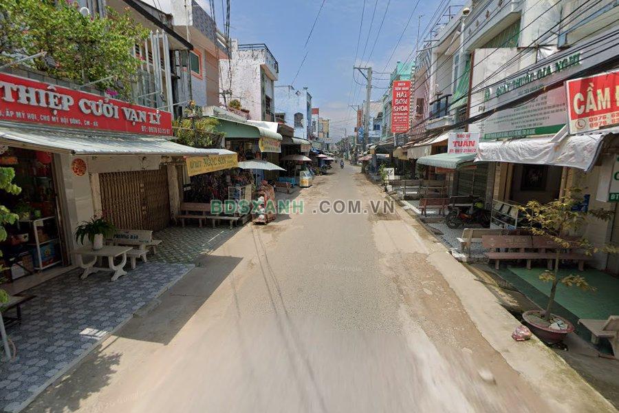 Mỹ Hội Đông - hình ảnh 1
