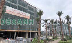 Bán Shophouse 115-200m² Phường Bãi Cháy, TP Hạ Long, từ 15 tỷ