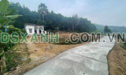Bán đất 1085m² Xã Địch Quả, Huyện Thanh Sơn, Phú Thọ – 1.x tỷ
