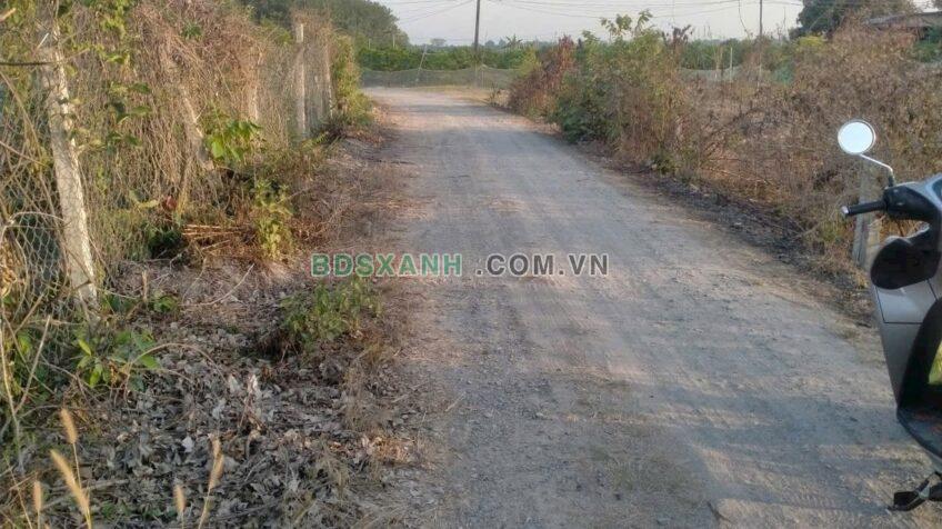 Bán Đất 5x30m Xã Suối Đá, Huyện Dương Minh Châu 290 Triệu