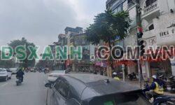 Đường Kim Mã – ảnh thực tế số 1