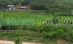 Bán đất 2000m² Xóm Thia, Phường Tân Hoà, TP Hòa Bình cũ – 1.X tỷ