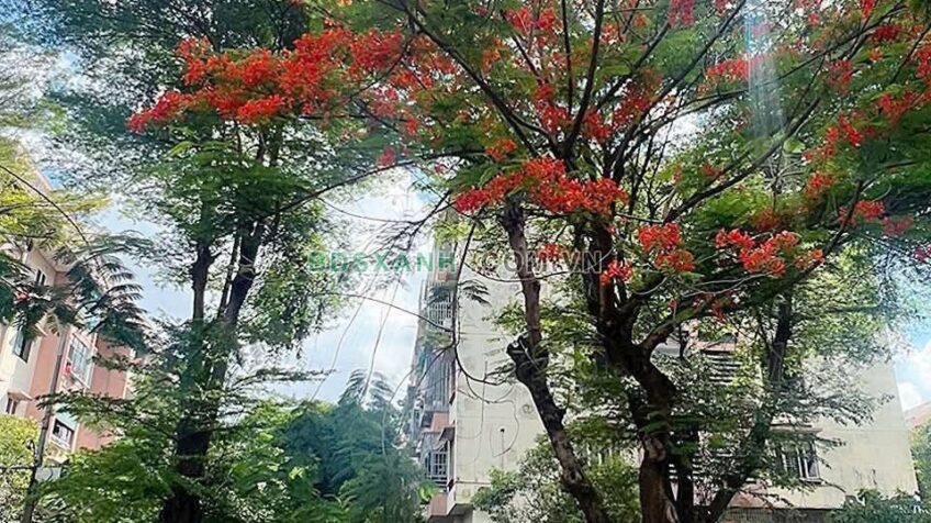 Bán CH Phường Tây Thạnh, Quận Tân Phú: Căn 45-120m2, giá từ 1.9 tỷ