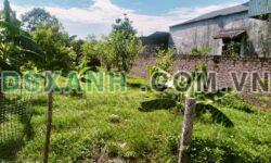 Bán đất 96m2 Xã Thanh Đình, TP Việt Trì, chỉ 6xx triệu