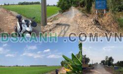 Bán 5000m2 đất 110m MT, Xã Tân Hòa Tây, H.Tân Phước 230tr/1000m2