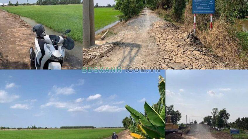 Bán 5000m2 đất 110m MT, Xã Tân Hòa Tây, H.Tân Phước 230tr/1000m2