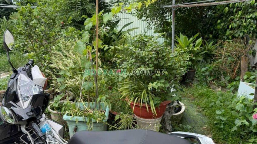 Bán Đất 108m² hẻm 2 Nguyễn Thị Thảnh, X.Thới Tam Thôn, H.Hóc Môn, 3.05 Tỷ