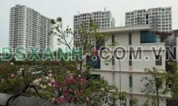 Bán nhà liền kề Green Bay Village, P. Hùng Thắng, Tp Hạ Long 90m² Giá tốt