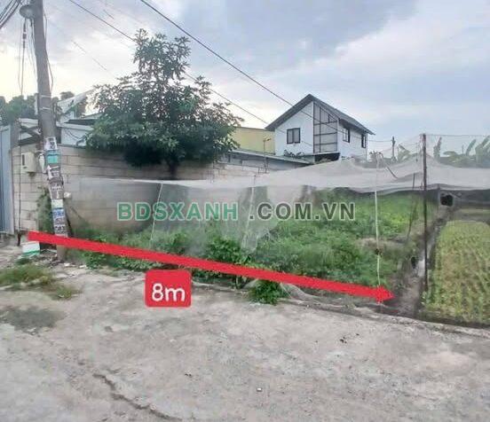 Bán Đất Xã Thới Tam Thôn, Huyện Hóc Môn, 240m2, 5.4 Tỷ
