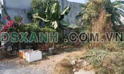 Bán đất 170m² Khu phố 3, P. Trảng Dài, TP. Biên Hòa giá 2.45 tỷ