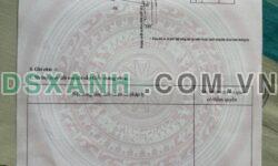 Bán Đất Phường Dĩ An, TP Dĩ An, 310m², Giá 13 Tỷ TL