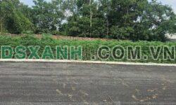 Bán Đất 116m² Khu 4 mới, Xã Thanh Đình, TP Việt Trì – Giá 1.1 Tỷ