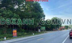 Bán 860m² đất Khu 6, Xã Hiền Quan, H.Tam Nông chỉ 699 Triệu