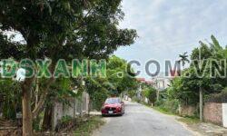Bán Đất Xã Hiền Quan, Huyện Tam Nông 130.2m2, Lô Góc MT 315, 785 Tr