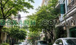 Bán nhà Nguyễn Tuân, P.Thanh Xuân Trung, 50m2, 16.9 Tỷ TL