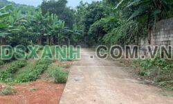 Bán đất Xã Lưỡng Vượng 4000m² >3 Tỷ Thành phố Tuyên Quang