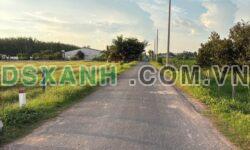 Bán đất 175m² Xã Phan Dương Minh Châu, Huyện Dương Minh Châu 259tr