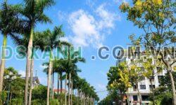 Bán Đất Đường Hòa Phong, Minh Nông, Việt Trì, Phú Thọ >250m²