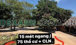 Bán đất 725m2 Xã Cầu Khởi, Huyện Dương Minh Châu 1.125 Tỷ