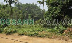 Bán Trang trại ven suối 2400m² H. Đoan Hùng, từ 1 Tỷ