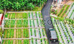 Bán lô đất AB Quán Trạch, Xã Liên Nghĩa, Huyện Văn Giang giá 1,7x tỷ.