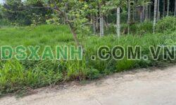 Bán 4000m2 Vườn 300m Thổ Cư, Xã Phước Bình, H.Long Thành LH
