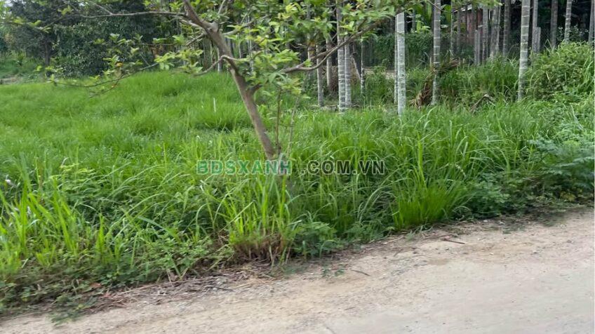 Bán 4000m2 Vườn 300m Thổ Cư, Xã Phước Bình, H.Long Thành LH