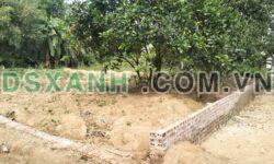 Bán đất Khu 5, Xã Kim Đức, 110m2, 8xx tr – Thành phố Việt Trì