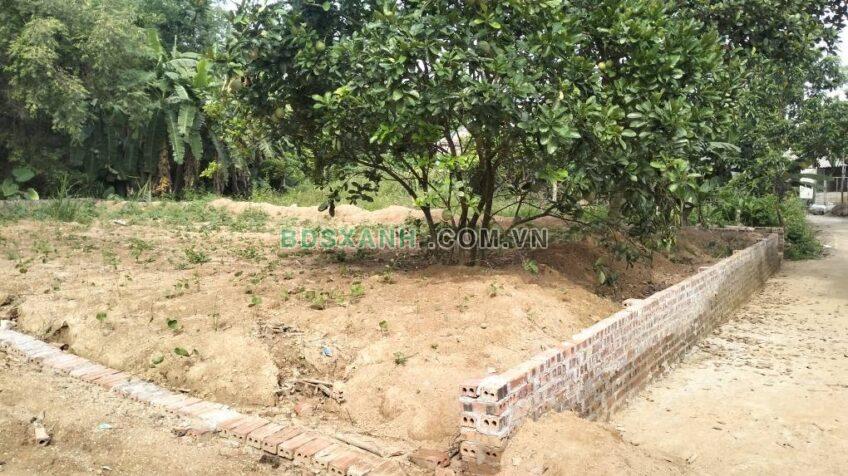 Bán đất Khu 5, Xã Kim Đức, 110m2, 8xx tr – Thành phố Việt Trì