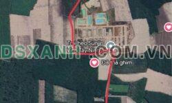 Bán 4.5ha Đất Nông Nghiệp Huyện Tân Biên, Xã Thạnh Bắc, Giá 4.635 tỷ