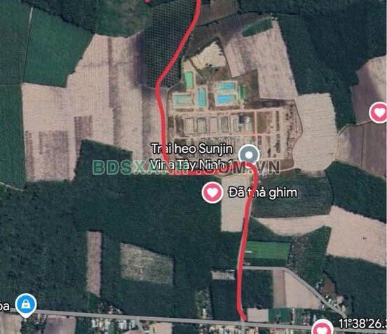 Bán 4.5ha Đất Nông Nghiệp Huyện Tân Biên, Xã Thạnh Bắc, Giá 4.635 tỷ