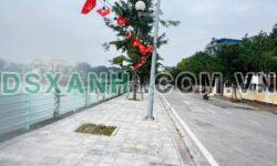 Bán đất 100m2 Phường Liên Bảo, TP Vĩnh Yên, giá 4 tỷ XX triệu