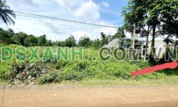 Bán Đất Nở Hậu 6.1x54m, Xã Phước Tân, TP Biên Hòa – 960 Triệu