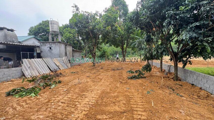 Bán Đất 251m² Lô Góc Xã Vĩnh Đồng, Huyện Kim Bôi, Hòa Bình – Chỉ 6xx Triệu