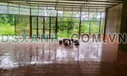 Bán Đất Tặng Nhà 230m2 Huyện Phù Ninh, Xã Phù Ninh, Khu 5 Phú Nham