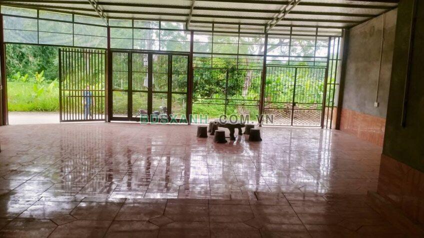 Bán Đất Tặng Nhà 230m2 Huyện Phù Ninh, Xã Phù Ninh, Khu 5 Phú Nham