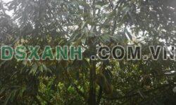 Bán Đất Xã Phú Xuân, Huyện Tân Phú, 10.000m2, 7.5 Tỷ