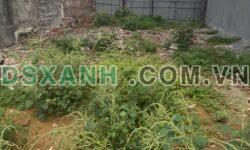 Bán Đất Thôn Gót, Xã Thủy Xuân Tiên, Huyện Chương Mỹ, 93m²