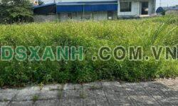 Bán đất Phường Tiên Cát, 108.9m2, hơn 1 tỷ – TP. Việt Trì